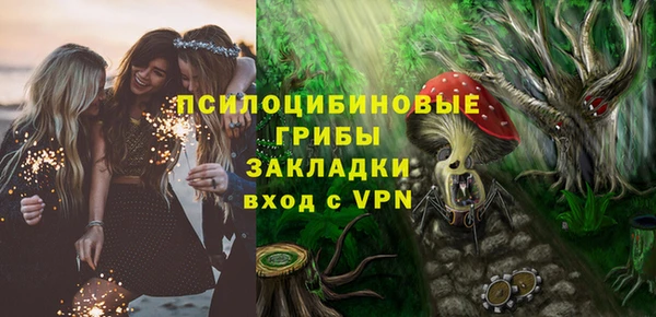 твердый Лабытнанги