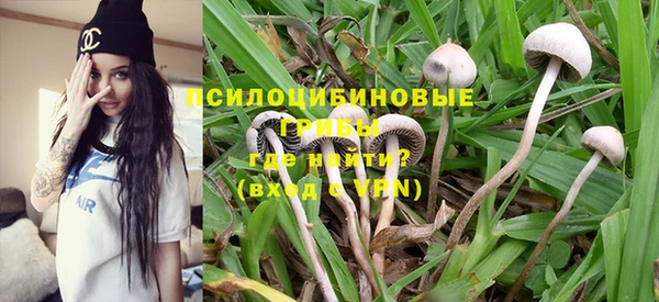 шишки Лихославль