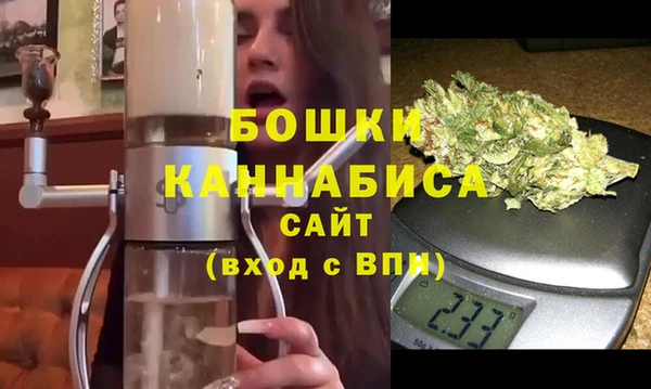 ГАЛЛЮЦИНОГЕННЫЕ ГРИБЫ Лагань