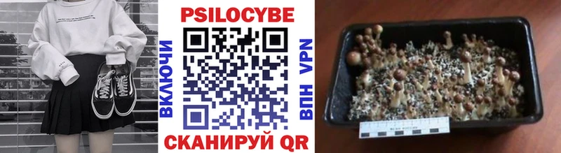 Галлюциногенные грибы Magic Shrooms  Собинка 