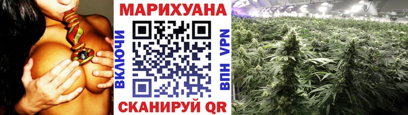 shop телеграм  Собинка  Бошки марихуана ГИДРОПОН 